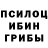 Галлюциногенные грибы мухоморы Emmett Burns