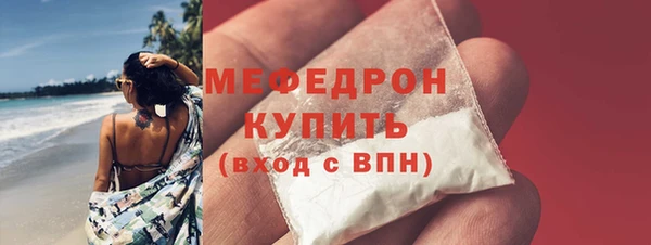 молекула духа Вяземский