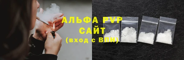 молекула духа Вяземский