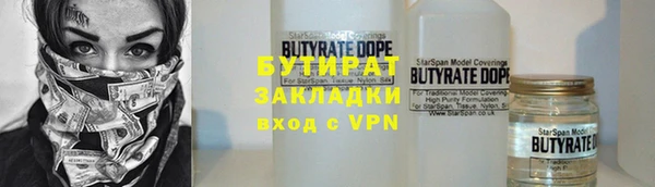 молекула духа Вяземский