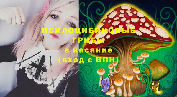 прущая мука Вязники