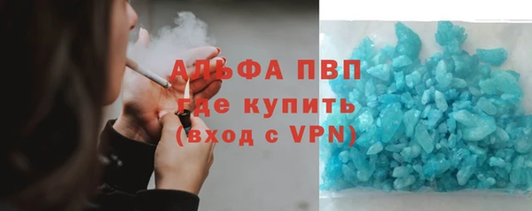 молекула духа Вяземский