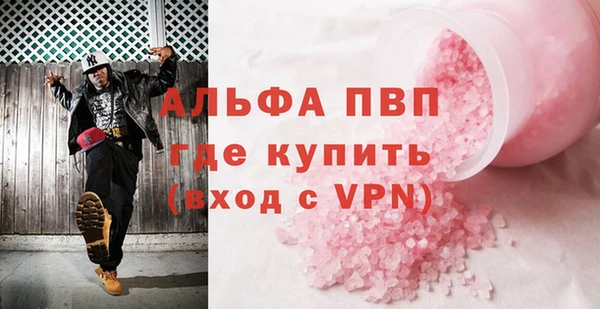 молекула духа Вяземский