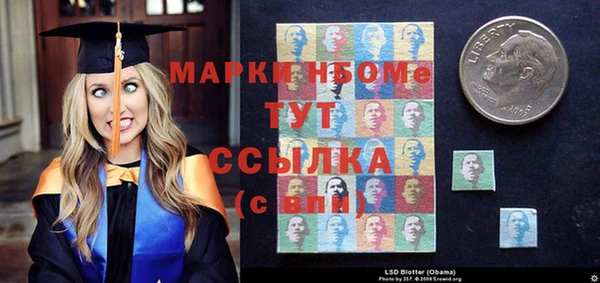 молекула духа Вяземский