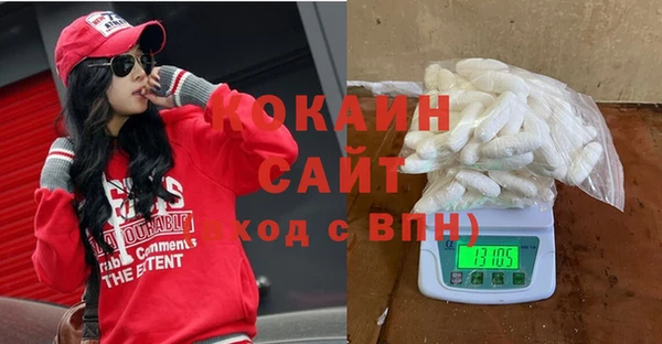 молекула духа Вяземский