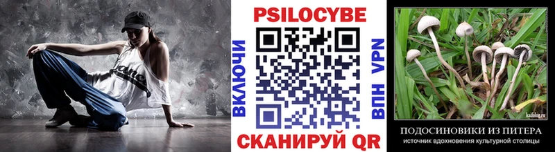 omg ссылка  Камышин  Галлюциногенные грибы мухоморы 